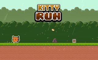 Image Kitty Run